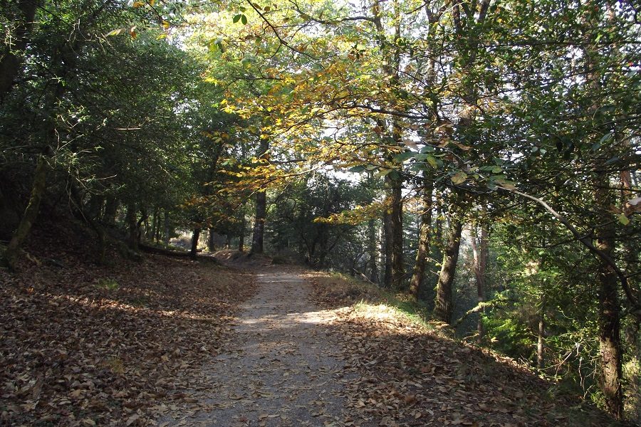 Parque nacional de Peneda-Gerês