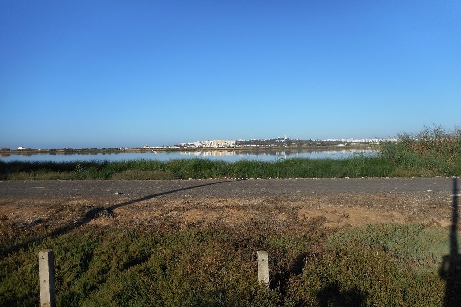 Parque natural da Ria Formosa