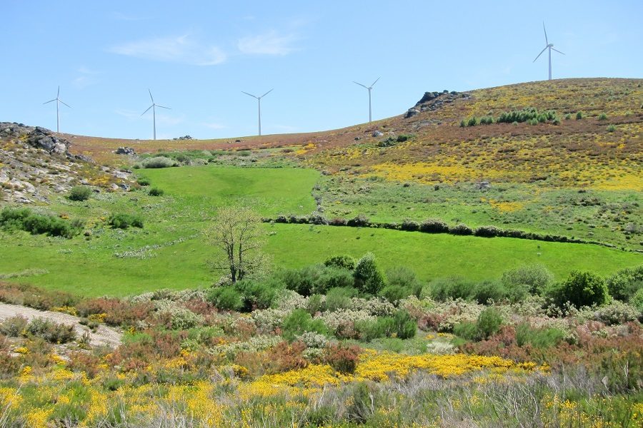 Parque natural de Montesinho