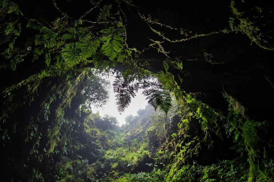 Gruta do Carvão